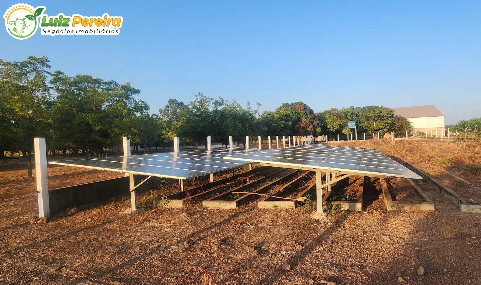 Terreno, 6500 m² - Foto 6