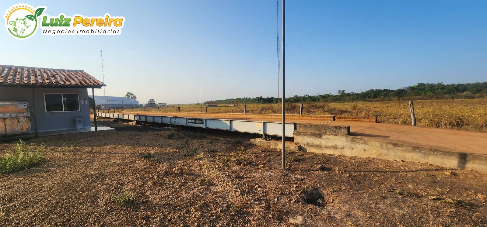 Terreno, 6500 m² - Foto 14