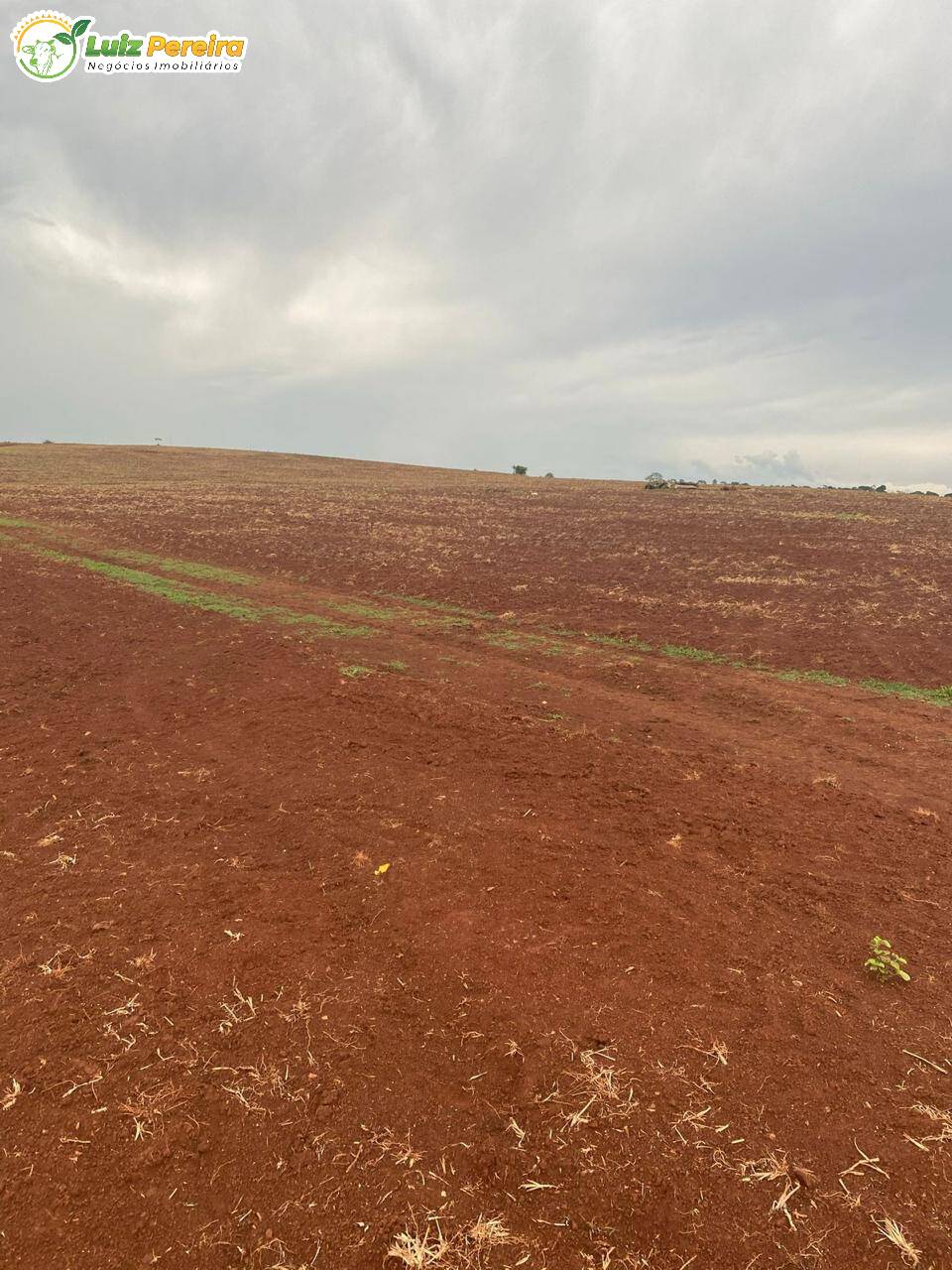 Terreno, 2240 m² - Foto 10