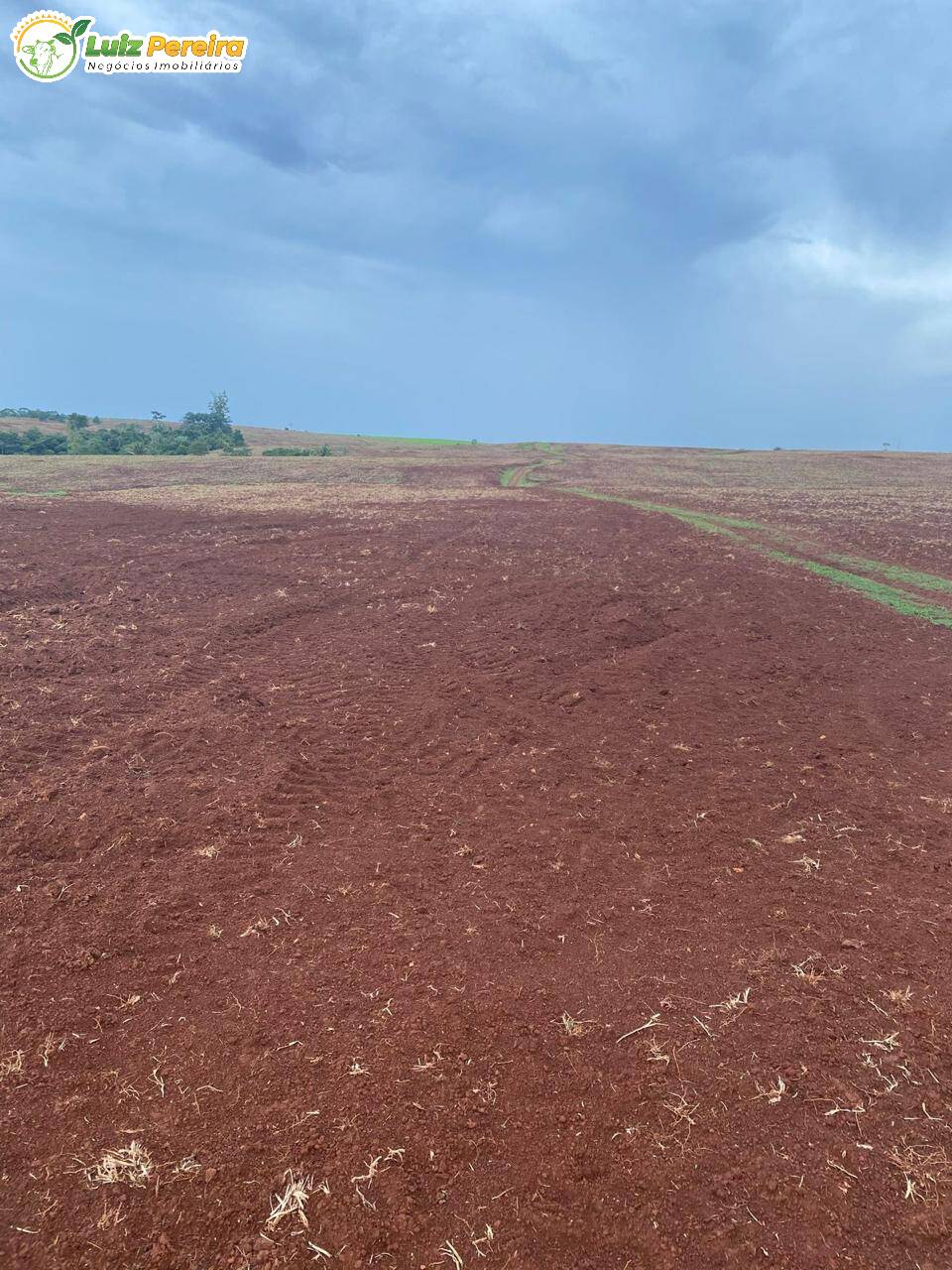 Terreno, 2240 m² - Foto 11