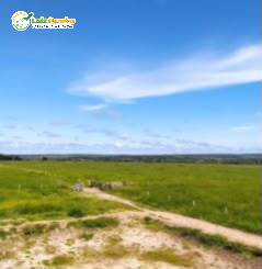 Terreno, 2240 m² - Foto 6