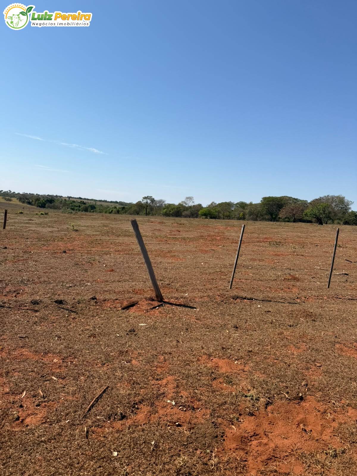 Terreno, 1401 m² - Foto 5