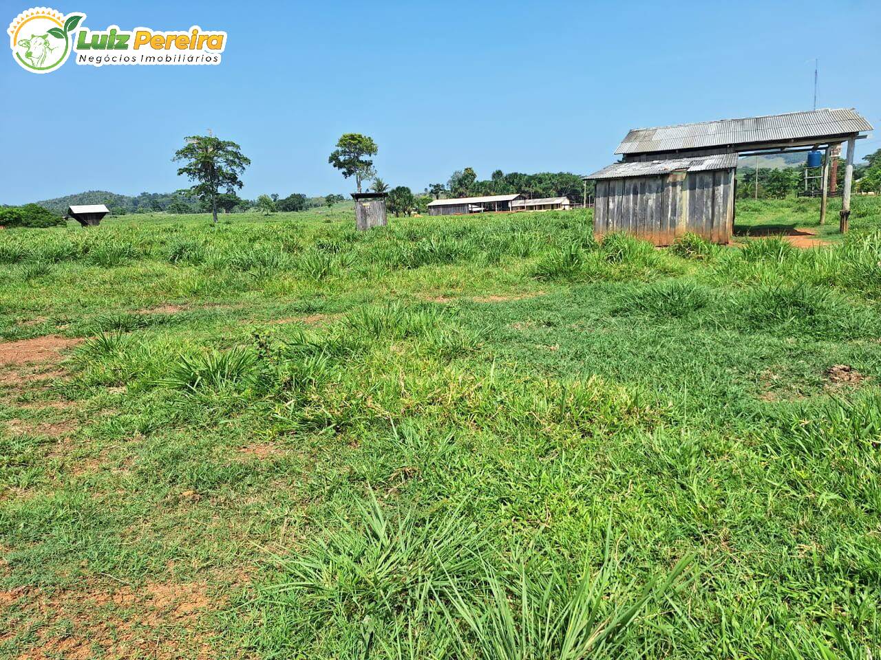 Terreno, 4780 m² - Foto 5