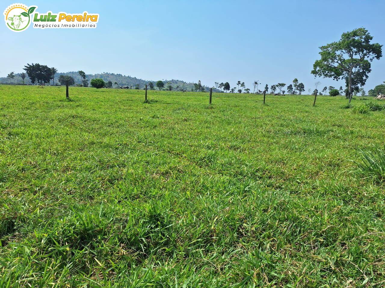 Terreno, 4780 m² - Foto 6