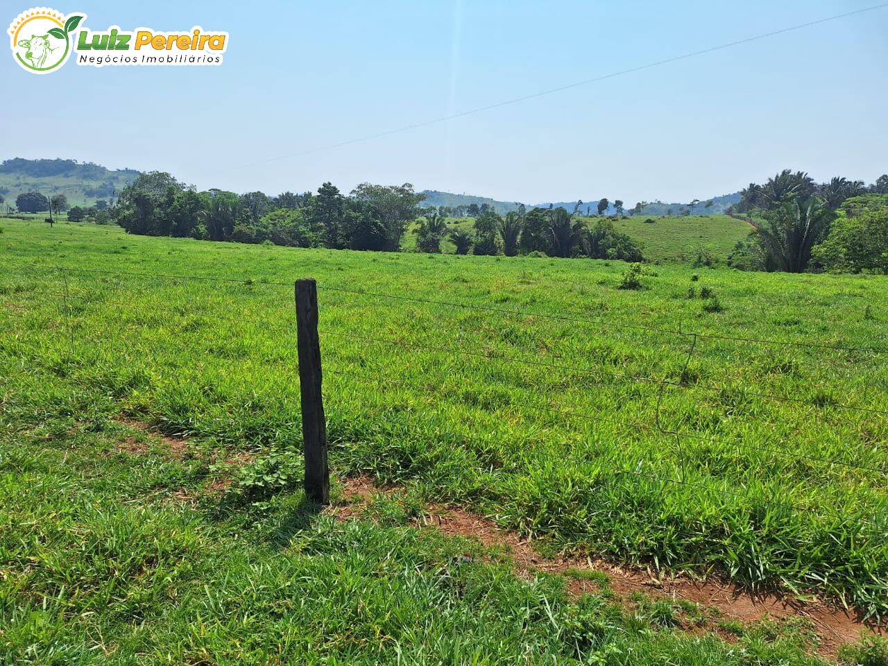 Terreno, 4780 m² - Foto 7