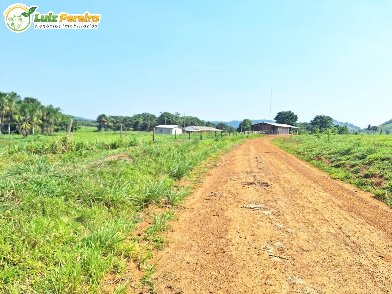 Terreno, 4780 m² - Foto 12