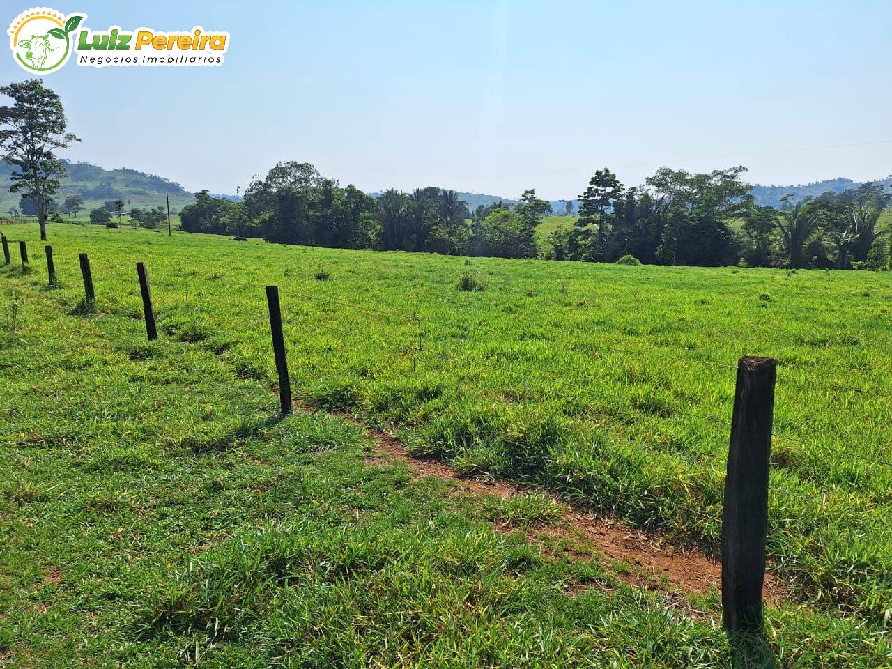 Terreno, 4780 m² - Foto 8