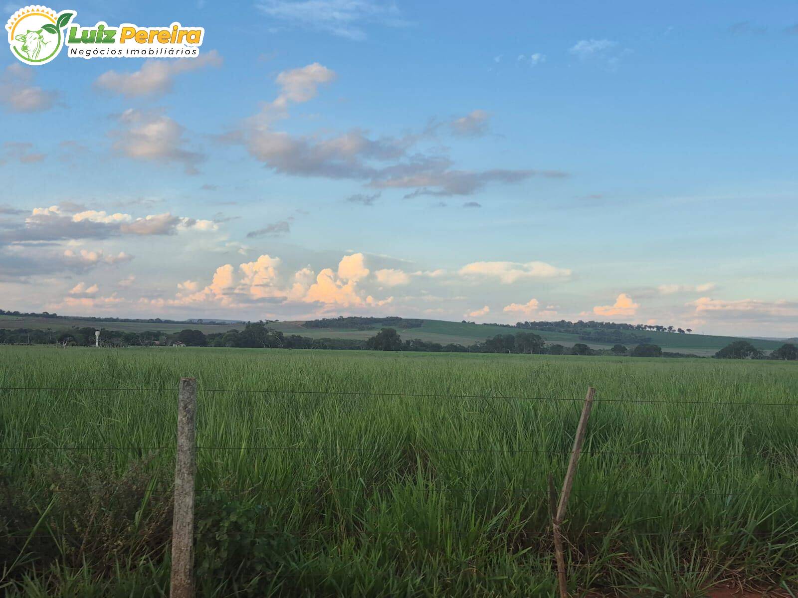 Terreno, 340 m² - Foto 11