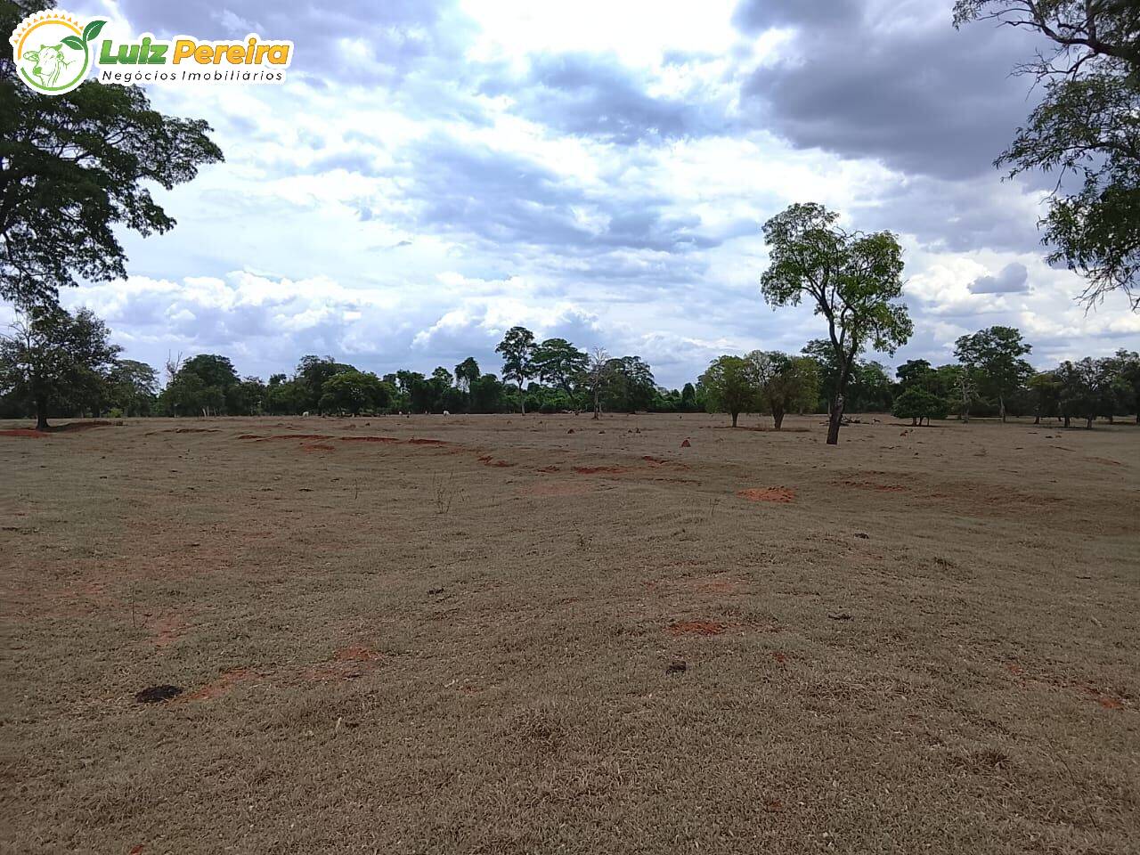 Terreno, 600 m² - Foto 12