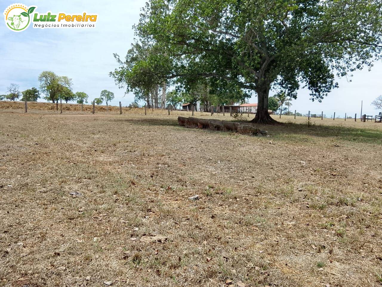 Terreno, 600 m² - Foto 13