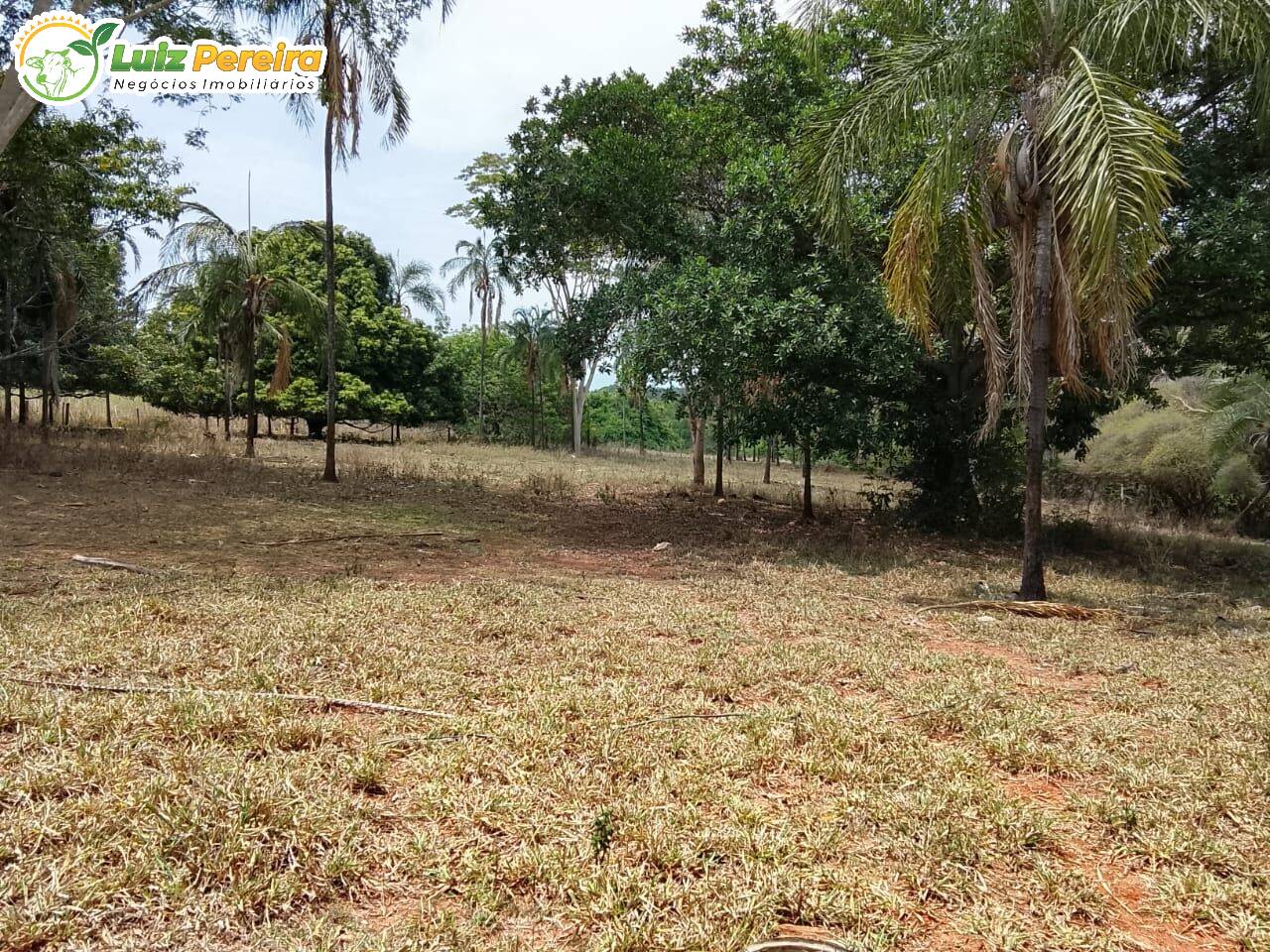 Terreno, 600 m² - Foto 14