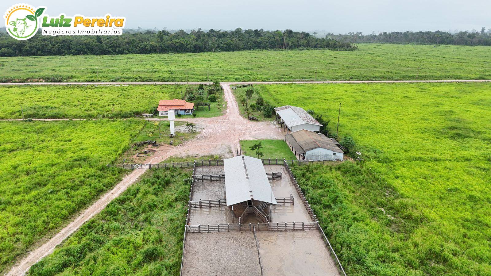 Terreno, 10000 m² - Foto 5