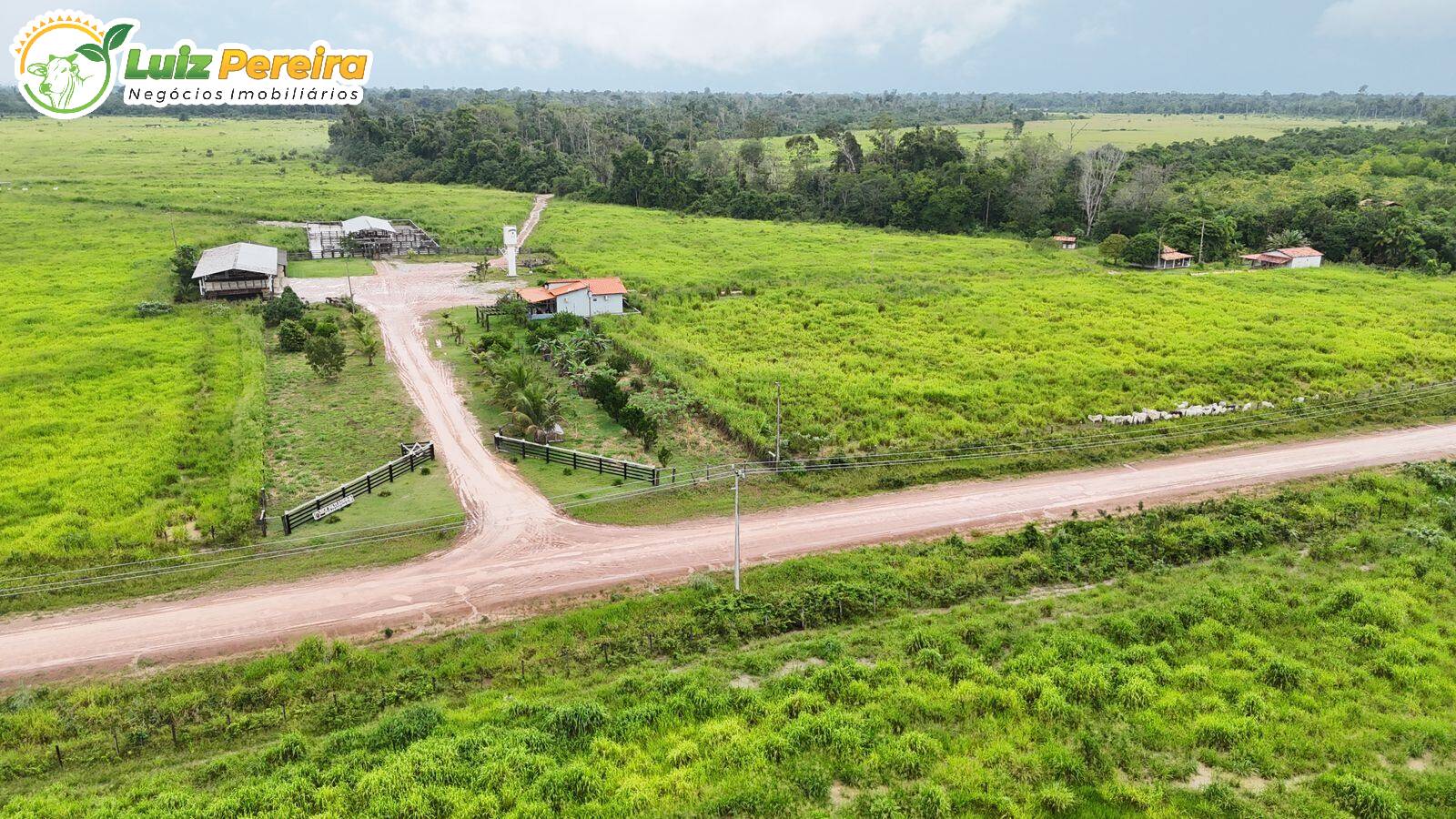 Terreno, 10000 m² - Foto 1