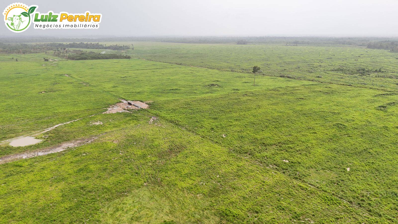 Terreno, 10000 m² - Foto 8