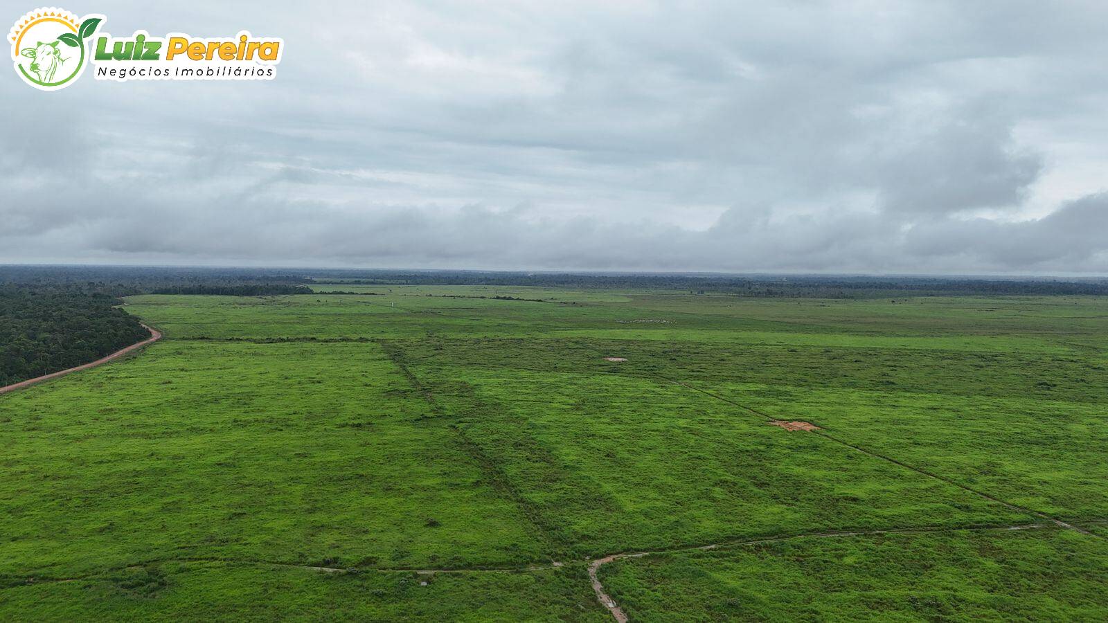 Terreno, 10000 m² - Foto 10