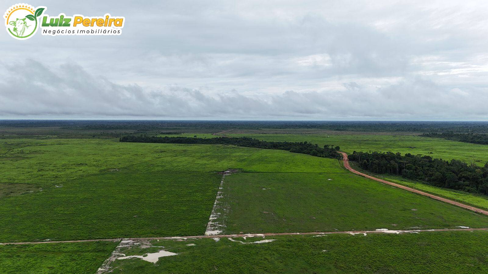 Terreno, 10000 m² - Foto 11