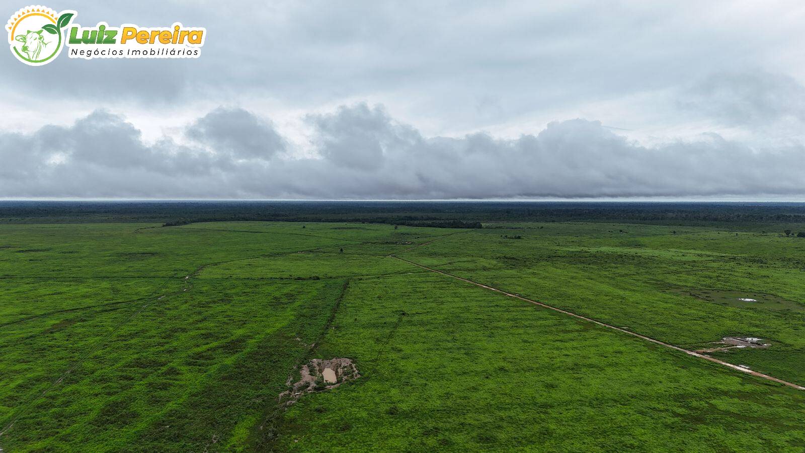 Terreno, 10000 m² - Foto 12