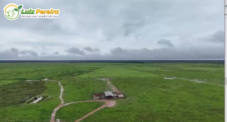 Terreno, 10000 m² - Foto 15