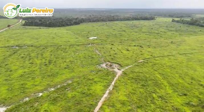 Terreno, 10000 m² - Foto 13