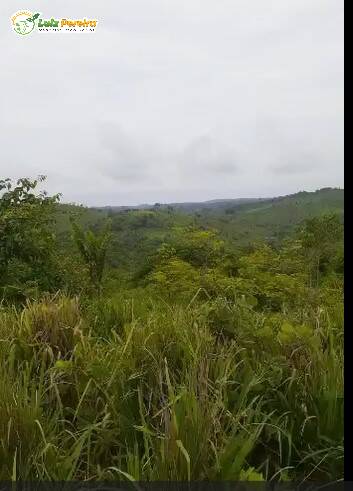 Terreno, 2676 m² - Foto 7