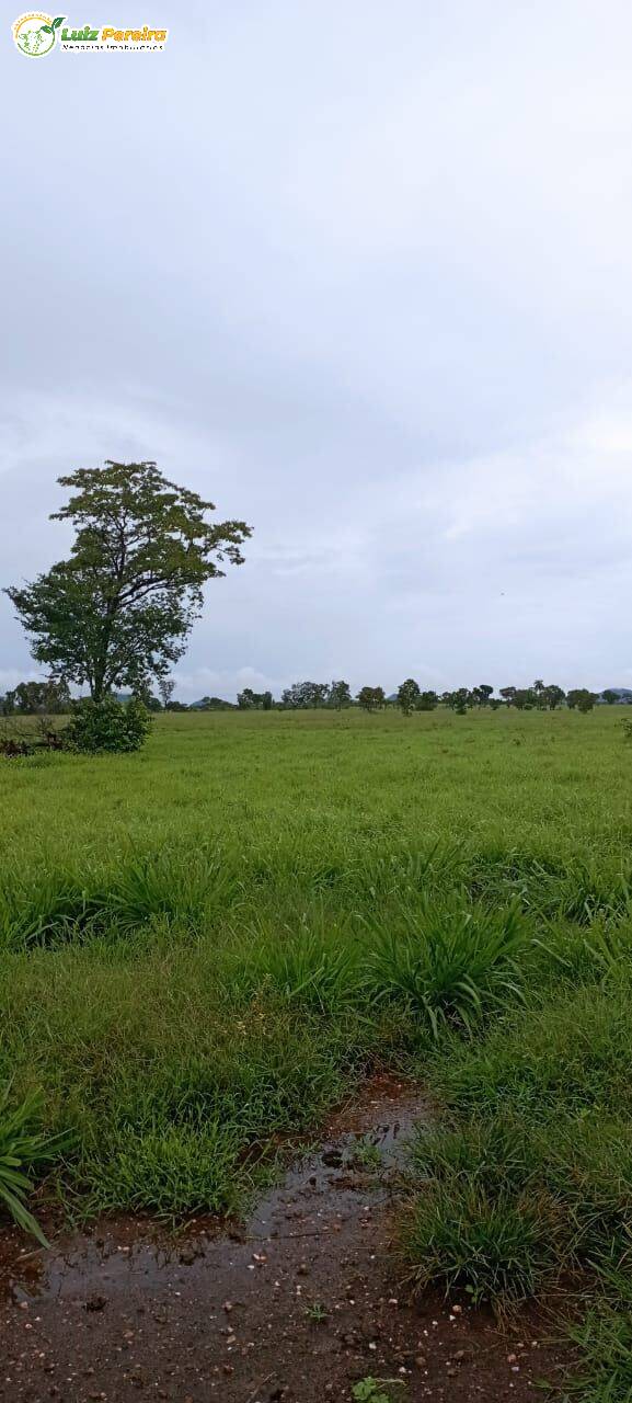 Terreno, 1423 m² - Foto 5