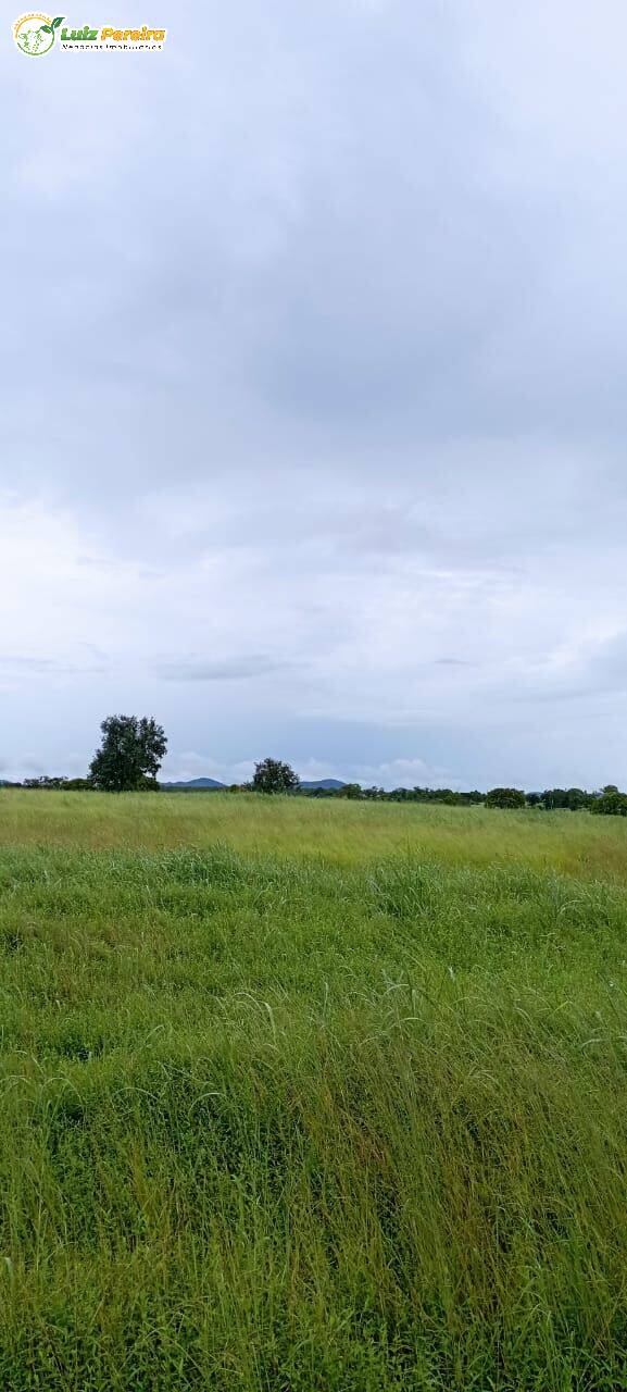 Terreno, 1423 m² - Foto 4