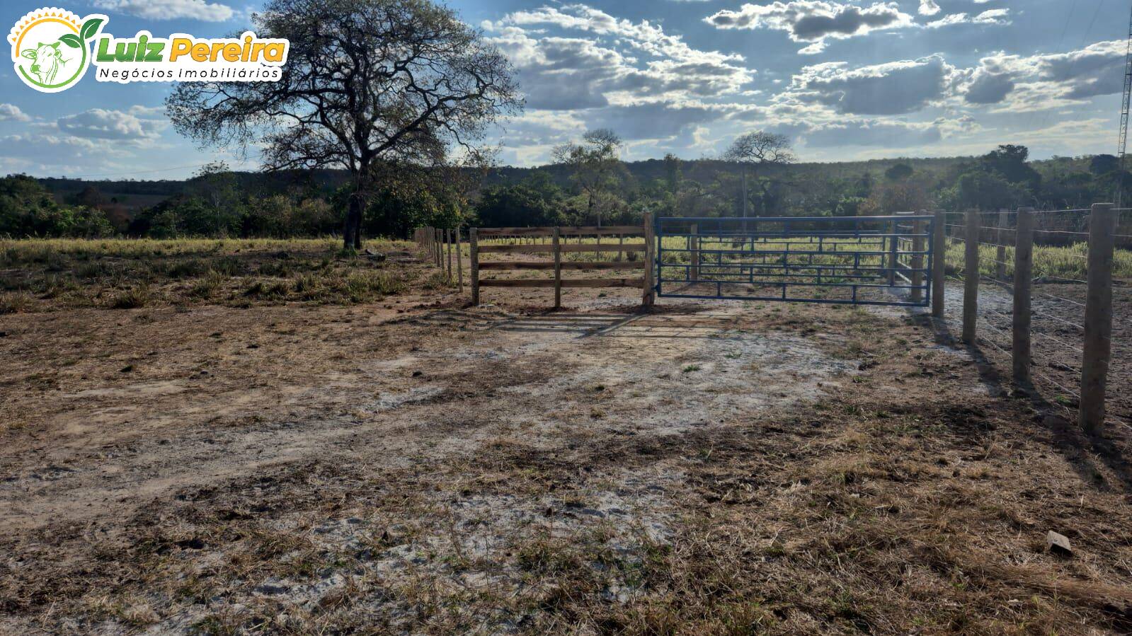 Terreno, 242 m² - Foto 17