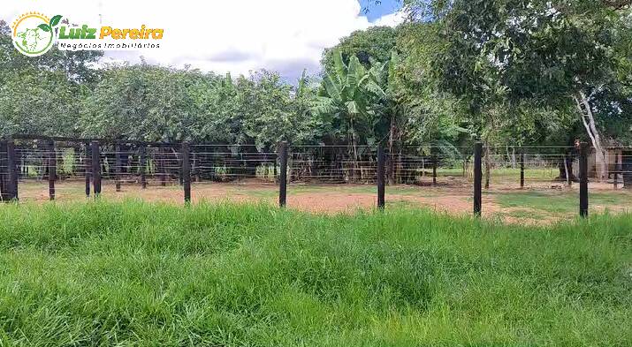 Terreno, 242 m² - Foto 13