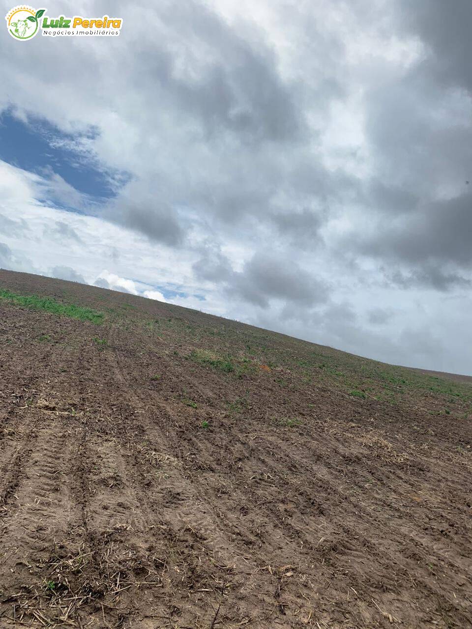 Terreno, 416 m² - Foto 6