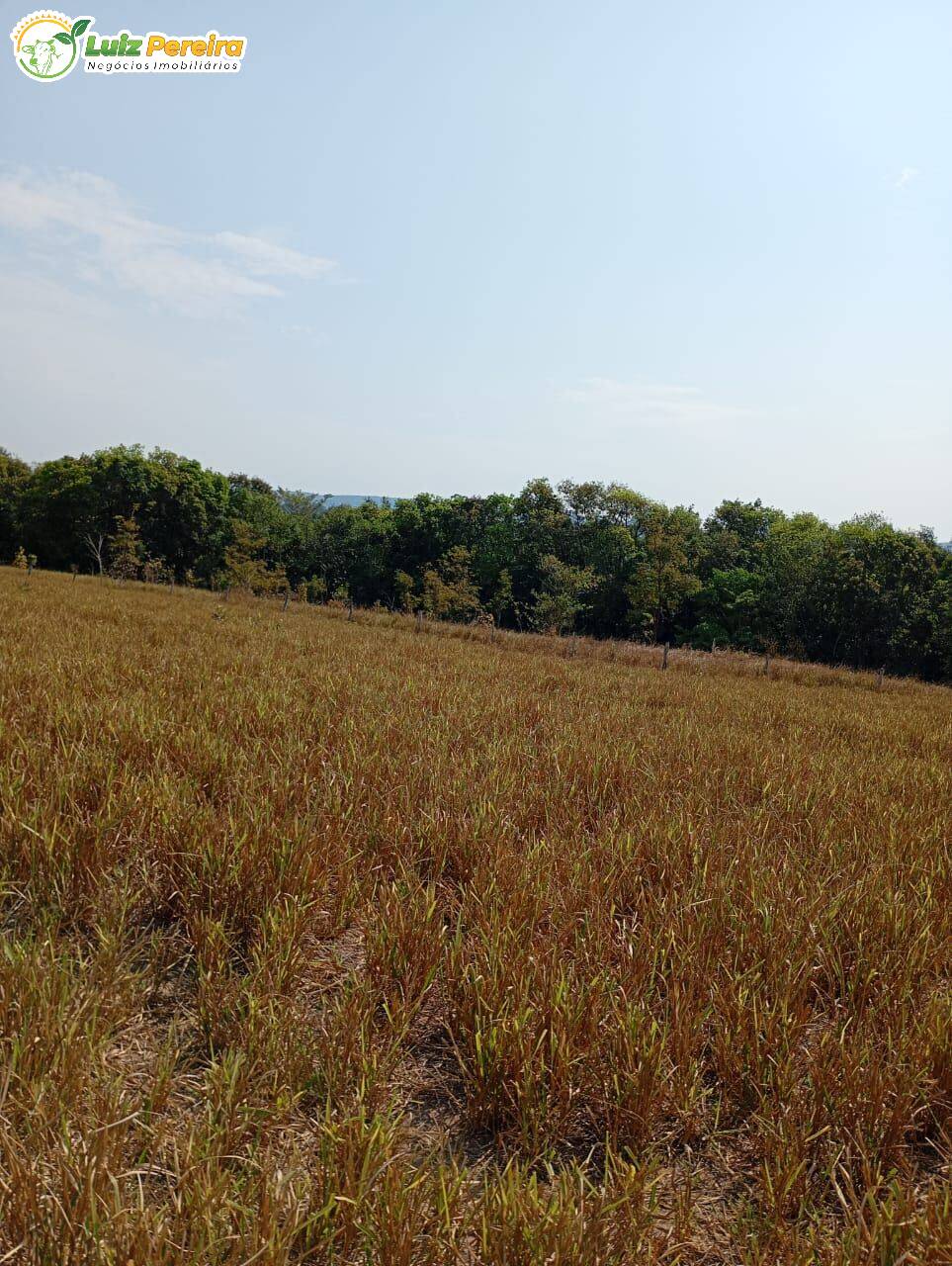 Terreno, 1020 m² - Foto 10