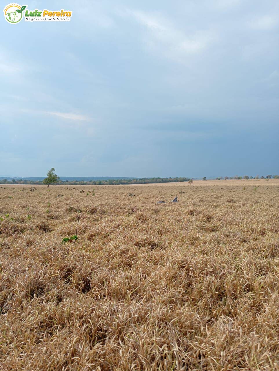 Terreno, 1020 m² - Foto 5