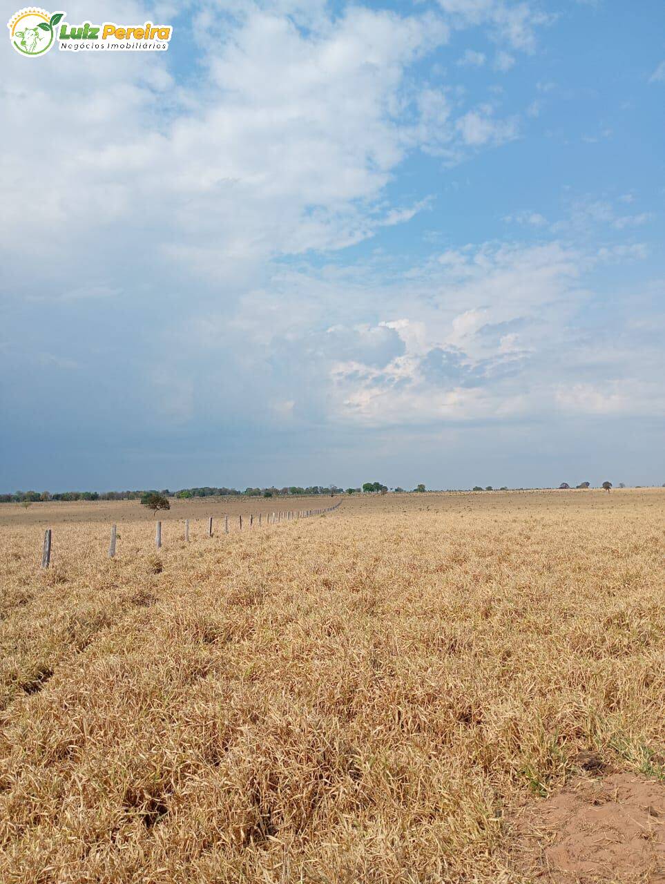 Terreno, 1020 m² - Foto 2