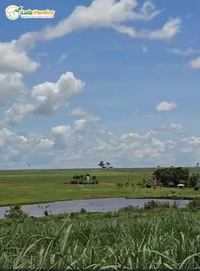 Terreno, 774 m² - Foto 2