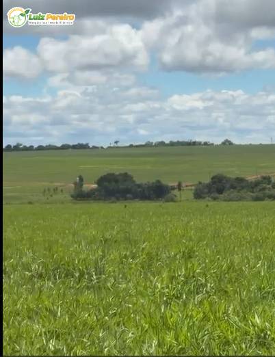 Terreno, 774 m² - Foto 4