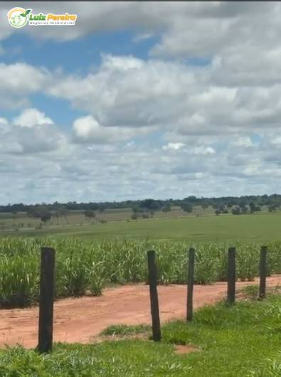 Terreno, 774 m² - Foto 5