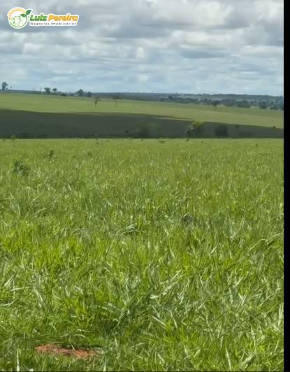 Terreno, 774 m² - Foto 6