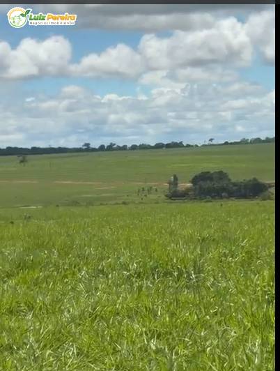 Terreno, 774 m² - Foto 7